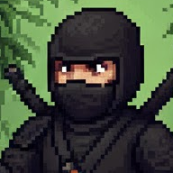 ninja portrait